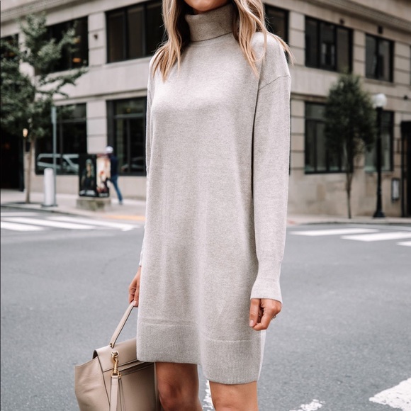 SOLD Everlane Cashmere Turtleneck Mini Dress Gray - Picture 2 of 6
